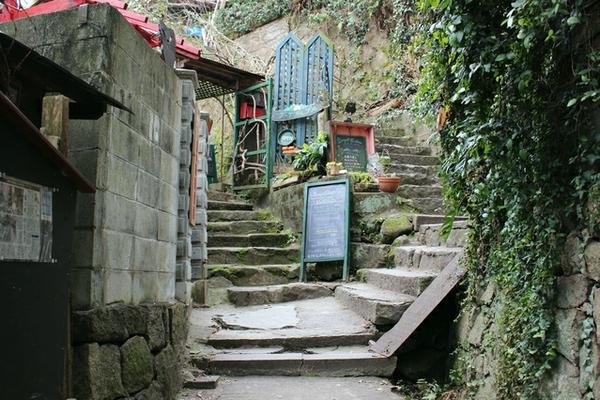 🐈 고양이 골목(네코노호소미치) 이미지 1